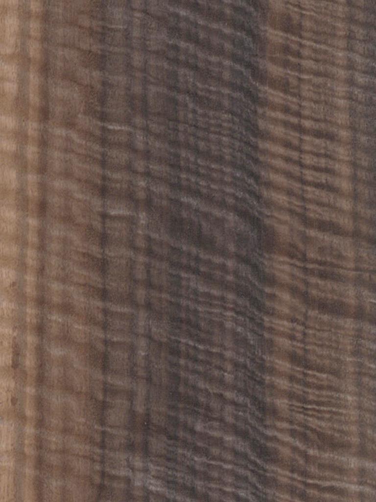 eucalyptus-figured